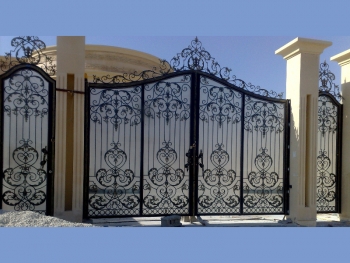 باب حديد و زجاجي اسود